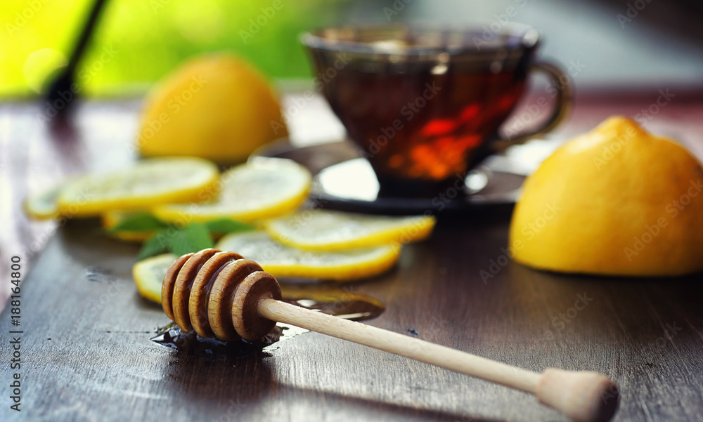 Tea with lemon and mint in nature. A cup of hot mint tea with le Tea with lemon and mint in nature. A cup of hot mint tea with le