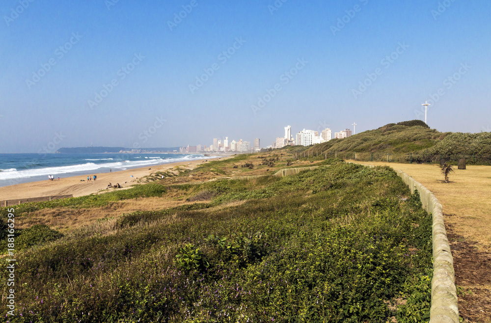 Dune Vegetation Coastal Landscape in Durban South Africa