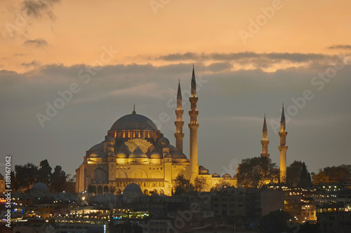 The Blue Mosque in the night
