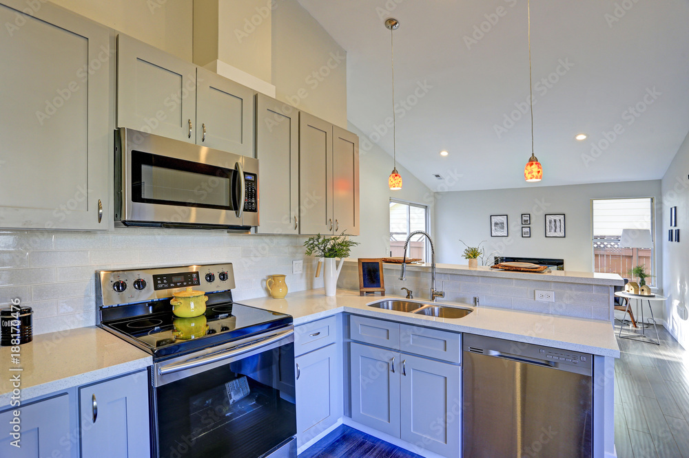 Light grey kitchen room interior with vaulted ceiling Light grey kitchen room interior with vaulted ceiling