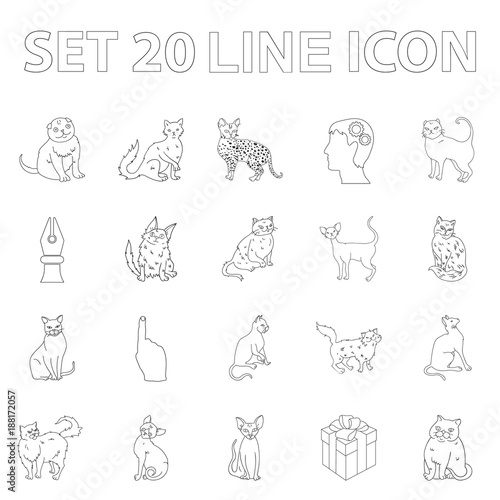 Breeds of cats outline icons in set collection for design. Pet cat vector symbol stock web illustration. photo