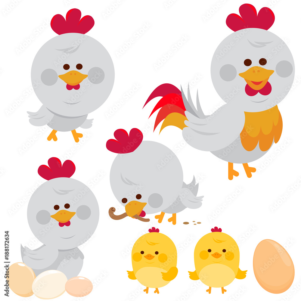 Chicken birds, rooster and chicks. Vector illustration Chicken birds, rooster and chicks. Vector illustration
