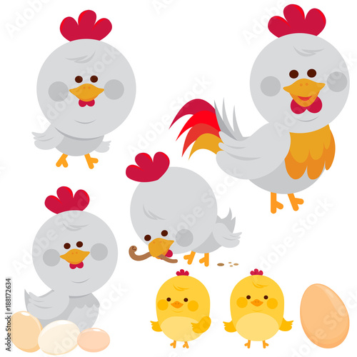 Chicken birds, rooster and chicks. Vector illustration