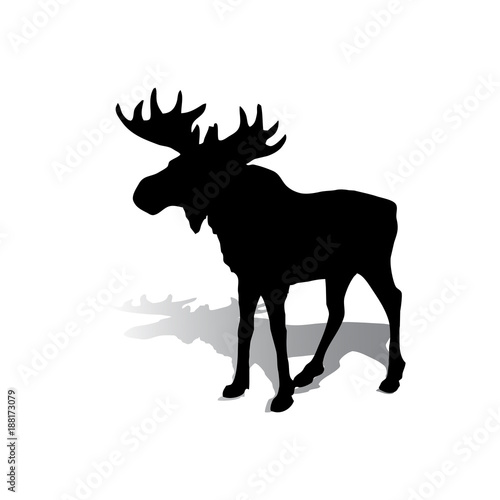 Silhouette of an elk with beautiful horns  a herbivore on a white background 