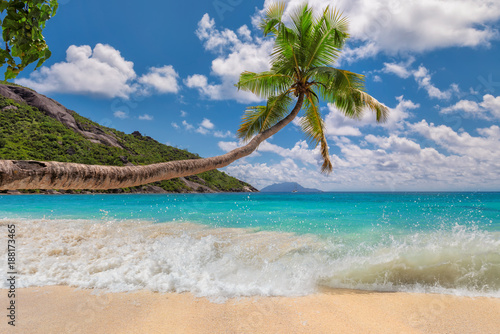 Fototapeta Naklejka Na Ścianę i Meble -  Coconut palm over paradise beach and beautiful sea in tropical island. Summer vacation and holiday travel concept. 