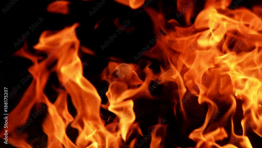 Blaze fire flame - Burning fire on black background Blaze fire flame - Burning fire on black background