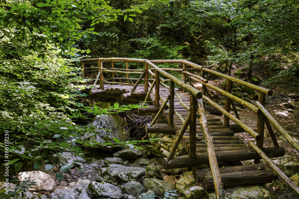 Wooden bridge over the Mladejka river in the Strandja national park in Bulgaria