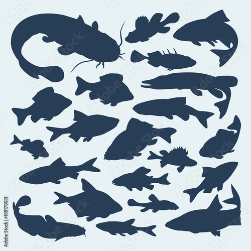 Vector silhouettes of river fish