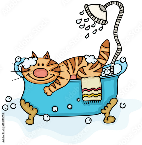 Cute cat in bathtub with shower