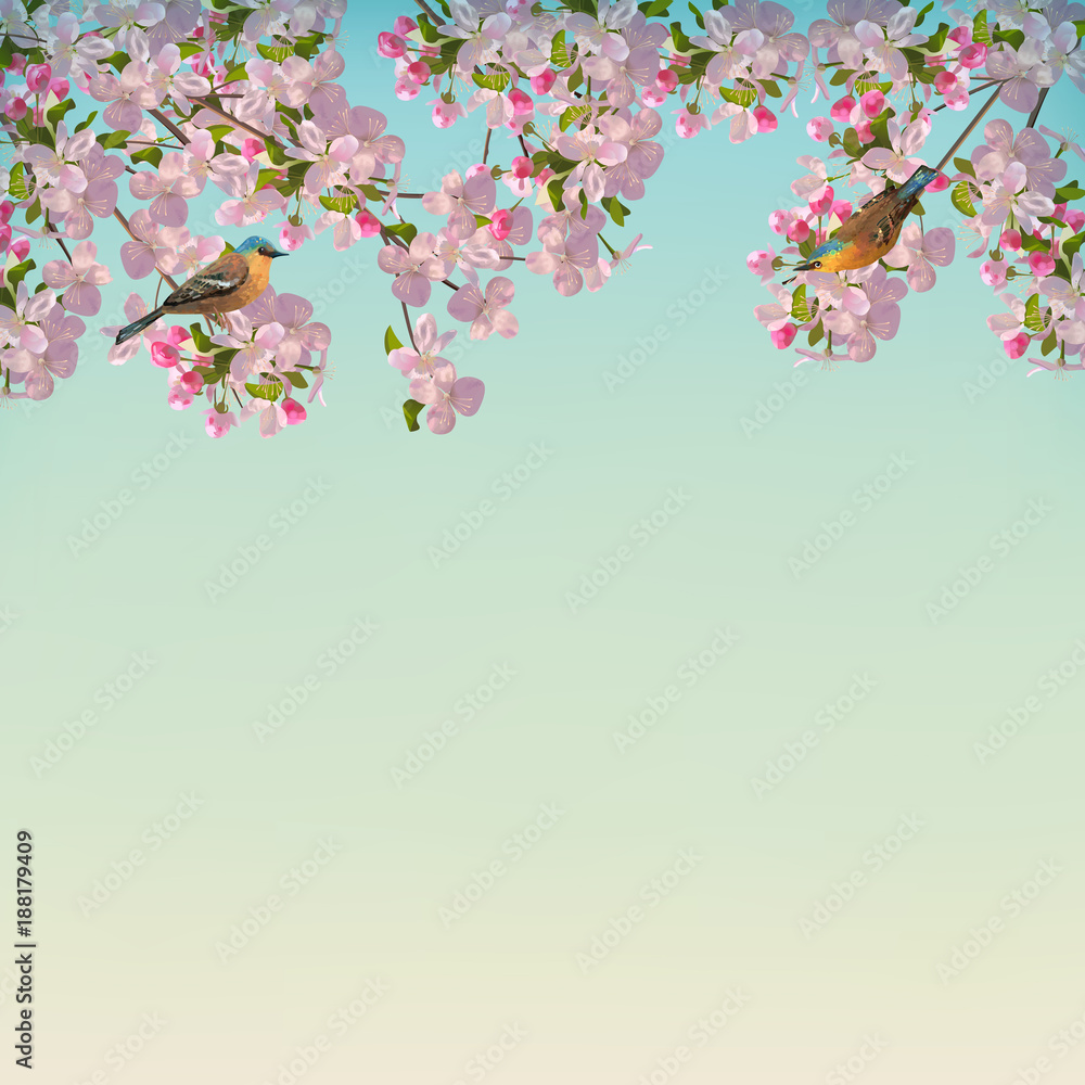 Vector Spring Background