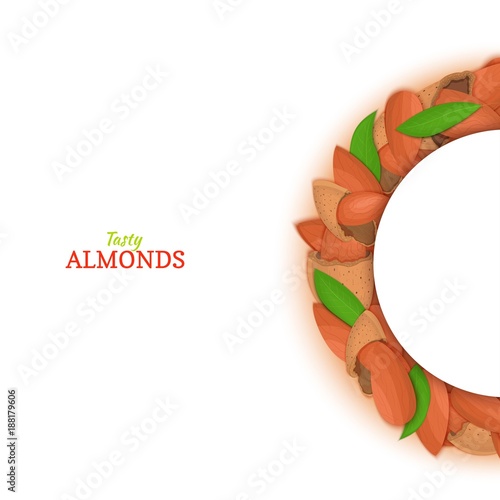 Semicircle frame composed of almond nut. Vector card illustration. Nuts filbert frame, hazelnut fruit in the shell, shelled, leaves for packaging design food, butter, oil, detox cosmetics cream.