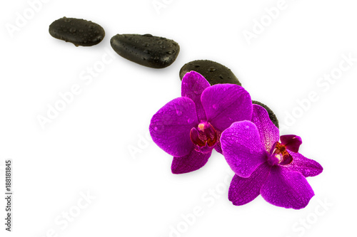 stones and orchid on the white background.