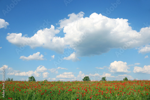 spring meadow and blue sky with clouds landscape