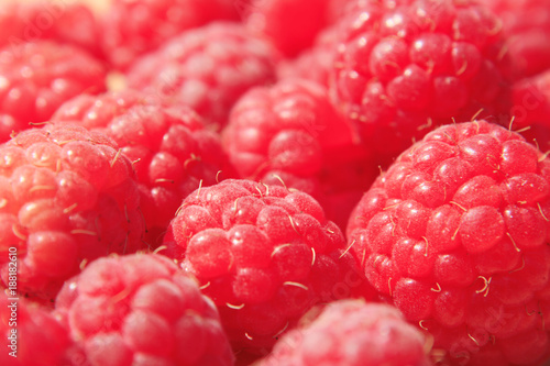 juicy raspberry in close up.