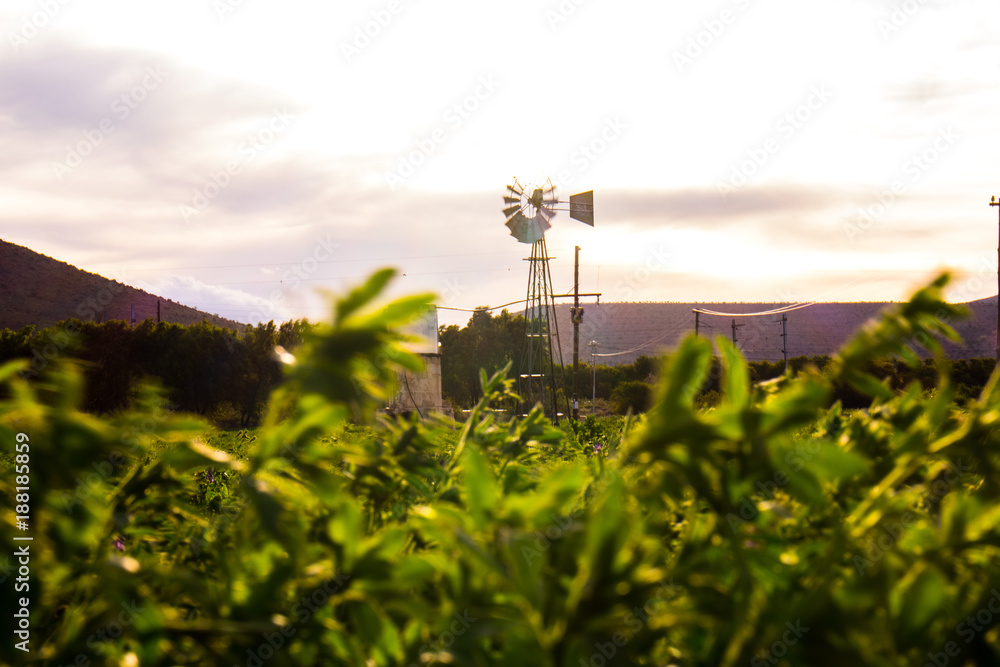 Fototapeta premium Farmers windmill