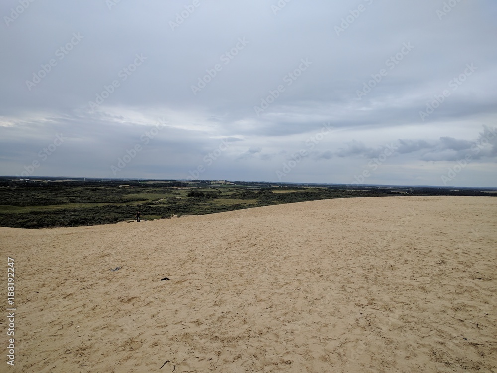 Obraz premium Råbjerg mile Dune