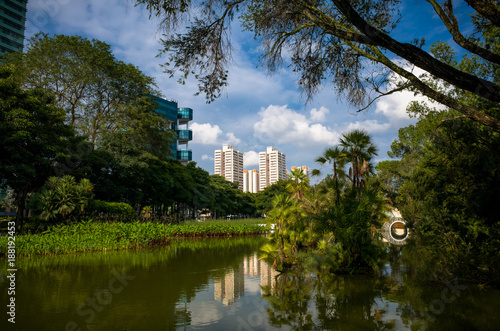 View of Toa Payoh buildings from pond in public park.