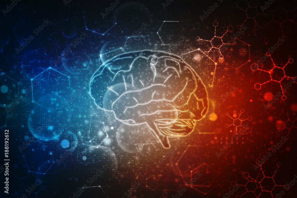 Human brain 2d illustration Human brain 2d illustration