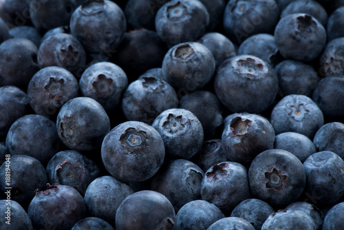 Arrangement blueberries for fruit background