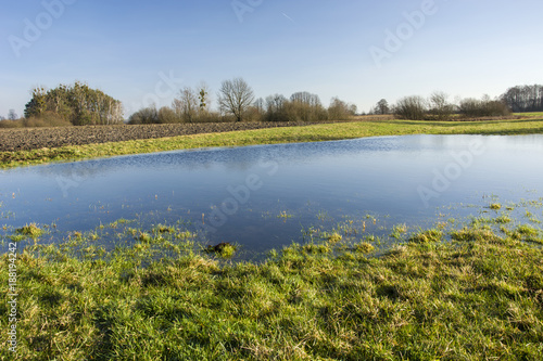 Water in the meadow  field and trees without leaves