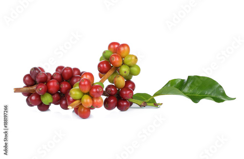 fresh coffee beans with leaf isolated on white background