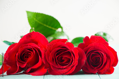Fresh red roses on a aquamarine table