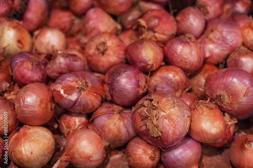 Red  onions. Colorful Display Of Violet  Onions In Market.  Onions background  close up