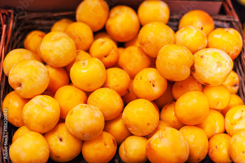 Yellow organic plums in the market.  Whole fresh plums harvest.  Food background