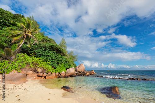 Palm trees on exotic tropical beach. Summer holiday and vacation concept background. 