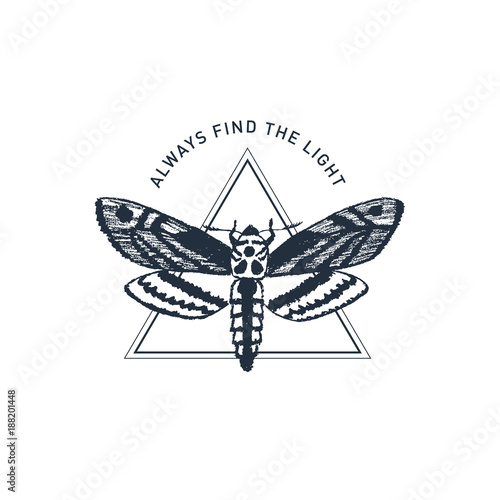 Hand drawn inspirational label with moth textured vector illustration and "Always find the light" lettering.