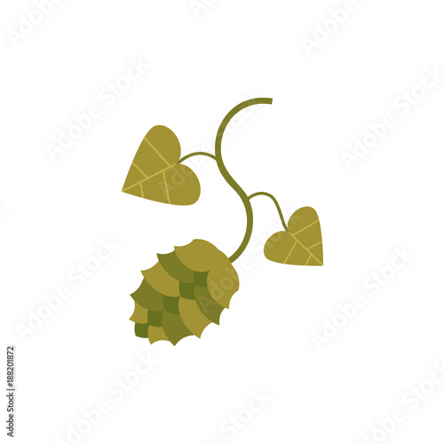 Green hop plant, flat style icon, cartoon vector illustration isolated on white background. Flat style vector icon of green hop cone and leaves, beer ingredient