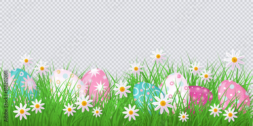 vector easter holiday template on transparent background with spring festive elements - decorated eggs at green grass meadow, daisy flowers for your design. Illustration on green background © sabelskaya