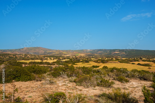 Green hills of Cyprus