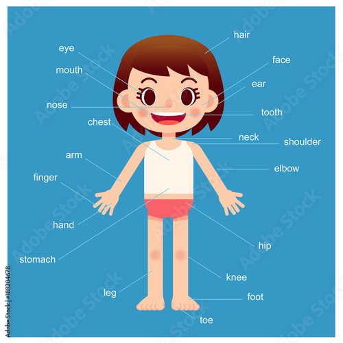 Vector girl character showing parts of the body with vocabulary on blue background.
