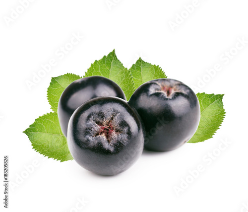 Chokeberry with leaves isolated on white background. Black aronia berries photo