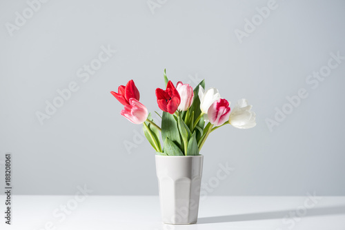Fototapeta Naklejka Na Ścianę i Meble -  beautiful blooming white, pink and red tulips in vase on grey