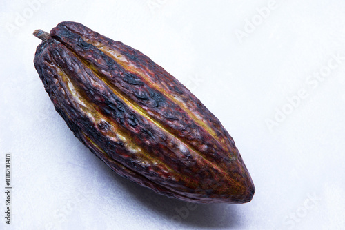 Kakaofrucht im Ganzen als Stimmungsbild auf hellem HIntergrundf