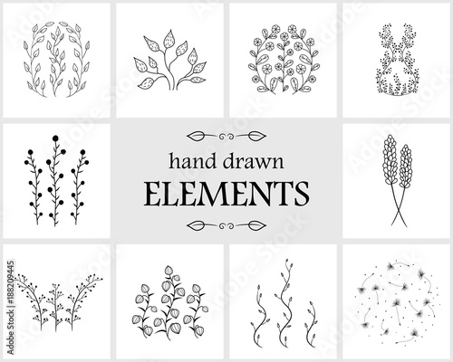 Hand drawn floral logo elements and icons