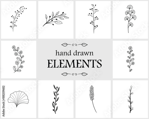 Hand drawn floral logo elements and icons