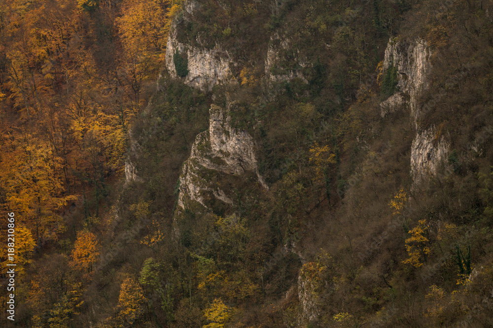 Forest and karst relief in carpathians mountains