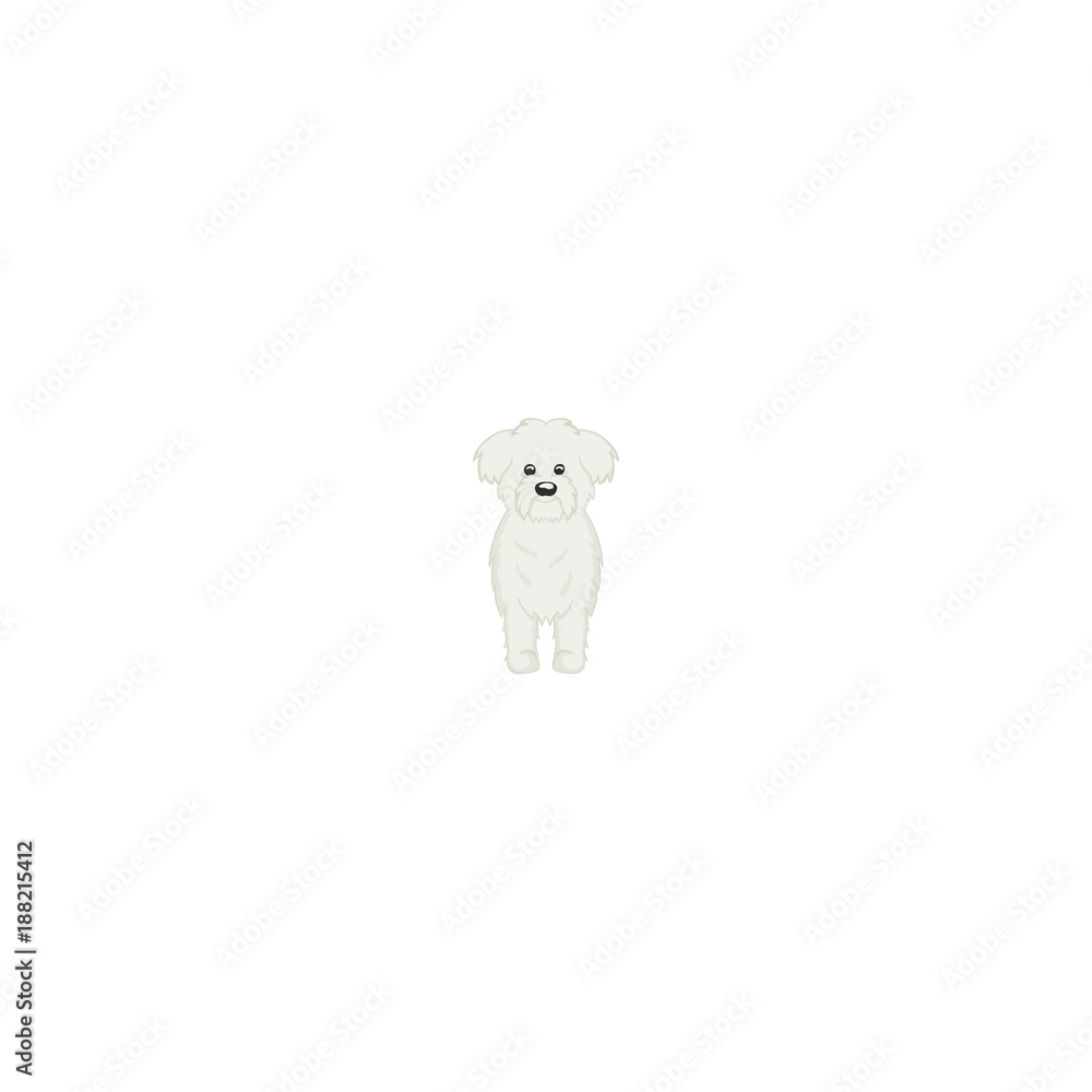 Maltese cartoon dog icon Maltese cartoon dog icon