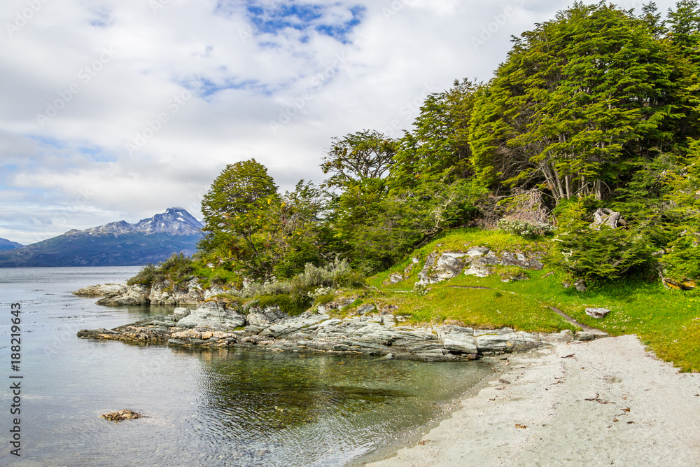 Forest and beagle channel in Coast Trail, Tierra del Fuego National Park