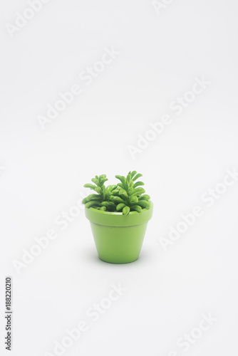 Close up view of plant in green flowerpot isolated on white