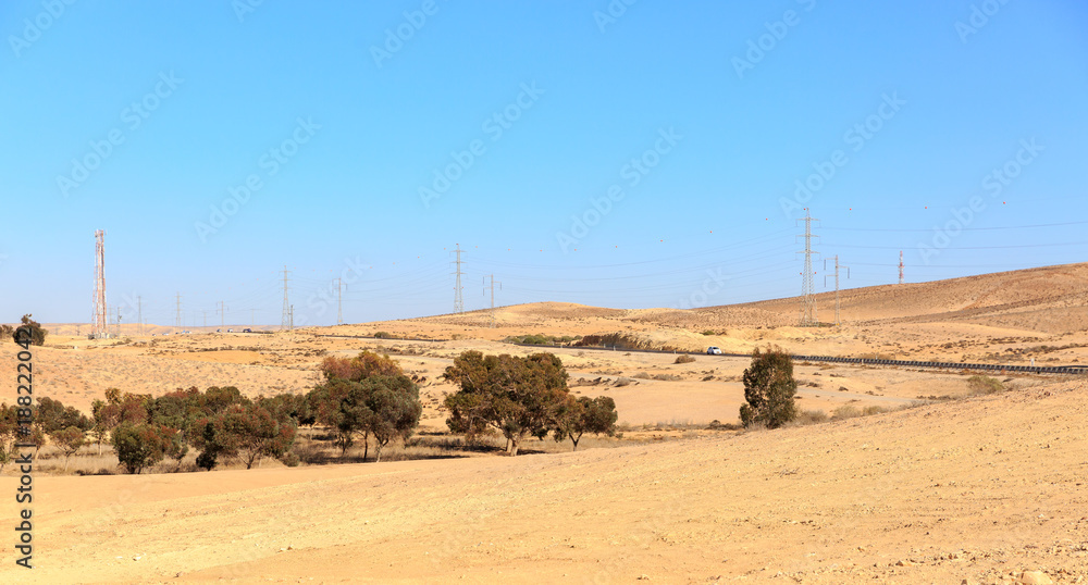 Evergreen trees and electrical masts in Negev desert