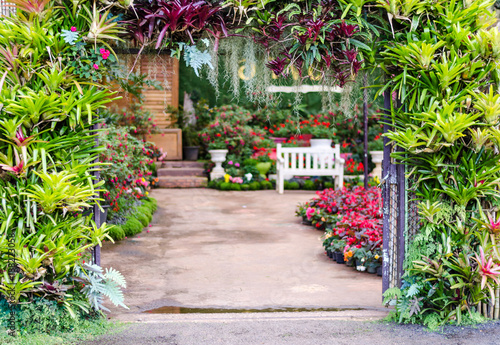 background of beautiful flower in garden