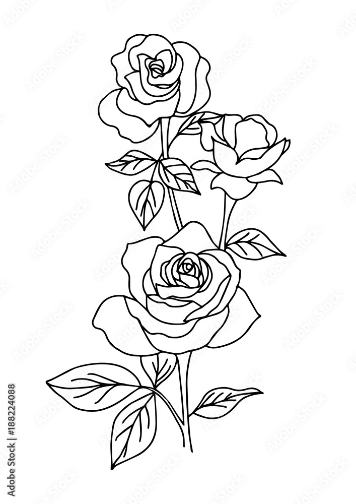 vintage rose tattoo, flower vector illustration on white background Stock  Vector | Adobe Stock