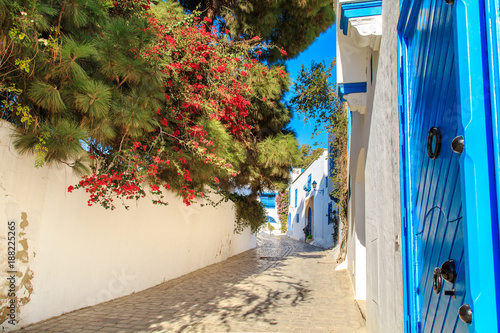 White-blue city of Sidi Bou Said, Tunisia. © lizavetta