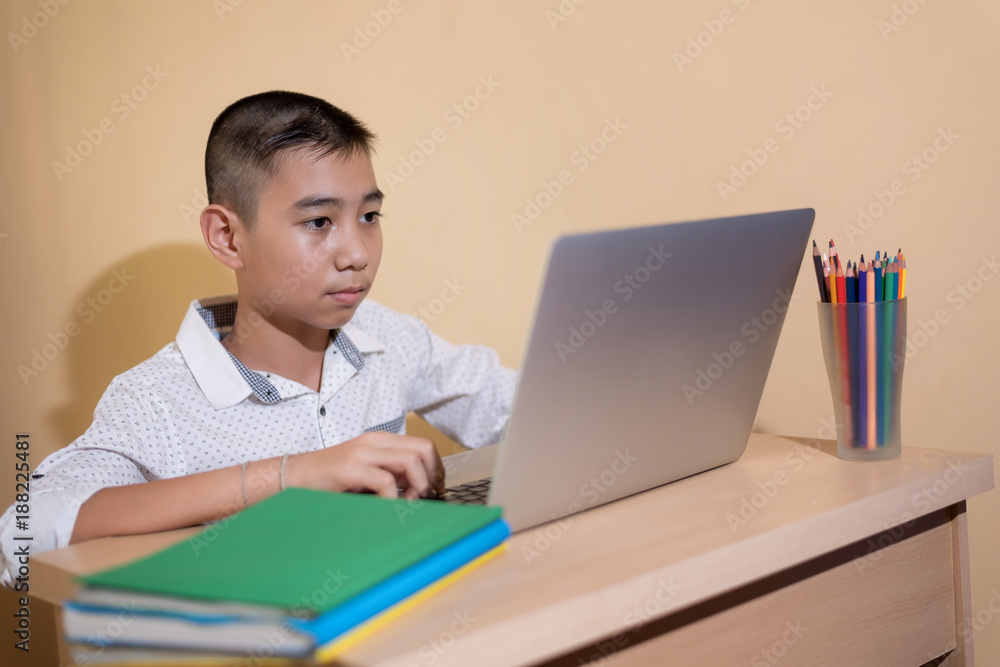A young schoolboy Concentrated at a laptop computer.Use it for a school, study or learning concept. A young schoolboy Concentrated at a laptop computer.Use it for a school, study or learning concept.
