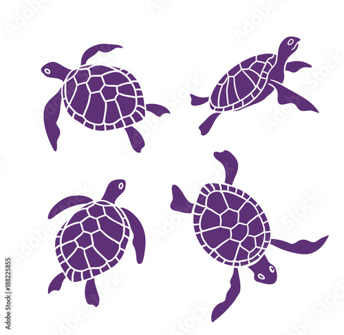 Vector ornamental ocean turtles on the white background. Design elements.