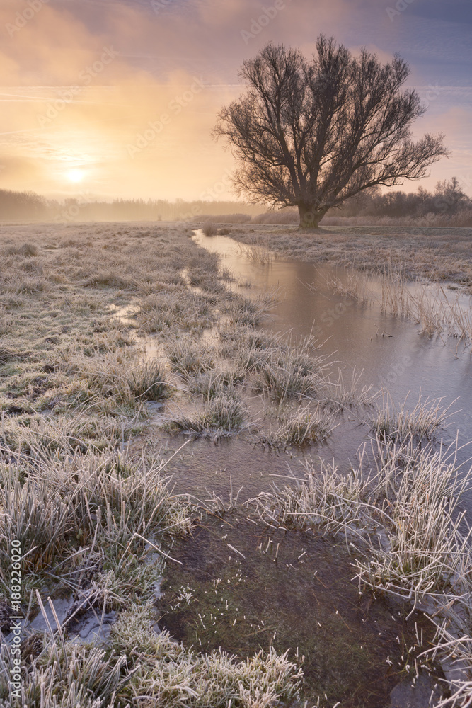 Sunrise over a frozen landscape in The Netherlands Sunrise over a frozen landscape in The Netherlands
